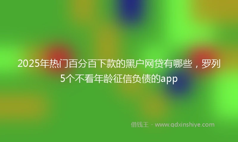 2025年热门百分百下款的黑户网贷有哪些，罗列5个不看年龄征信负债的app
