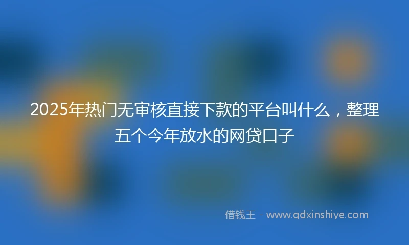 2025年热门无审核直接下款的平台叫什么，整理五个今年放水的网贷口子