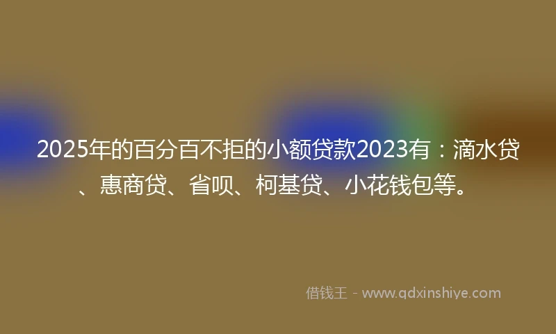 2025年的百分百不拒的小额贷款2023有：滴水贷、惠商贷、省呗、柯基贷、小花钱包等。