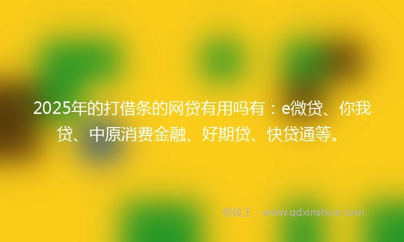 2025年的打借条的网贷有用吗有：e微贷、你我贷、中原消费金融、好期贷、快贷通等。