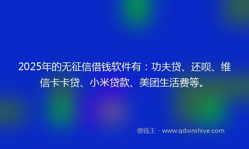 2025年的无征信借钱软件有：功夫贷、还呗、维信卡卡贷、小米贷款、美团生活费等。
