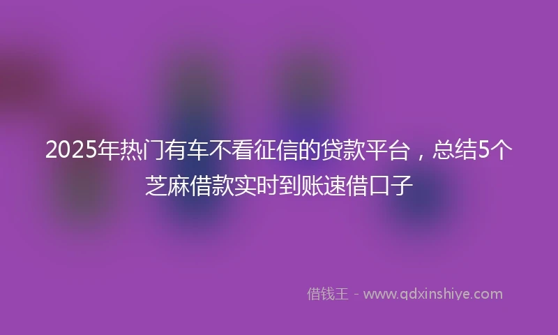 2025年热门有车不看征信的贷款平台，总结5个芝麻借款实时到账速借口子