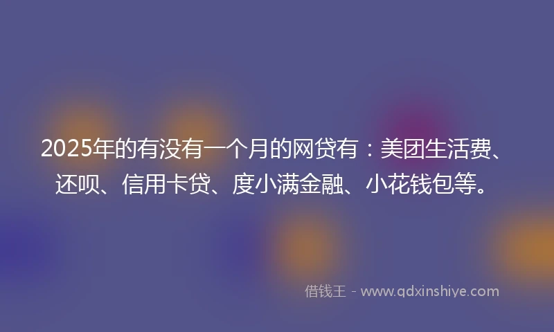 2025年的有没有一个月的网贷有：美团生活费、还呗、信用卡贷、度小满金融、小花钱包等。