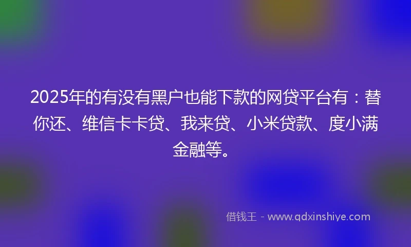 2025年的有没有黑户也能下款的网贷平台有：替你还、维信卡卡贷、我来贷、小米贷款、度小满金融等。