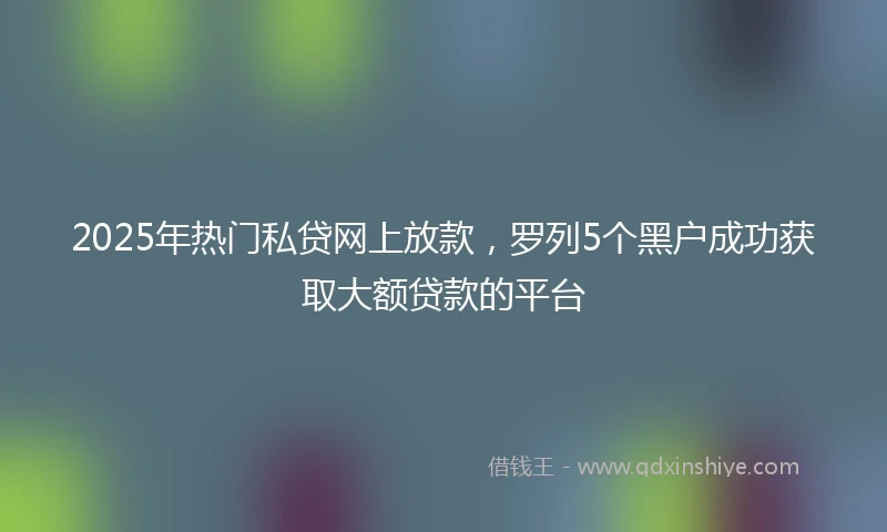 2025年热门私贷网上放款，罗列5个黑户成功获取大额贷款的平台
