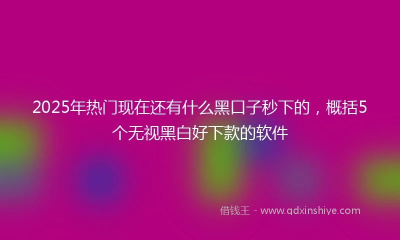 2025年热门现在还有什么黑口子秒下的，概括5个无视黑白好下款的软件