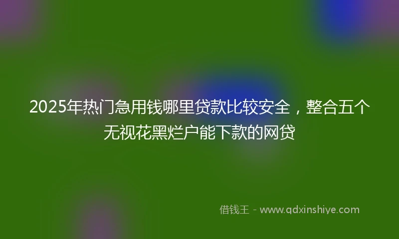 2025年热门急用钱哪里贷款比较安全，整合五个无视花黑烂户能下款的网贷