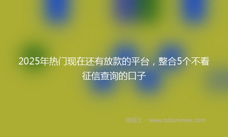 2025年热门现在还有放款的平台，整合5个不看征信查询的口子