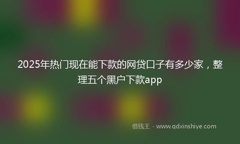 2025年热门现在能下款的网贷口子有多少家，整理五个黑户下款app