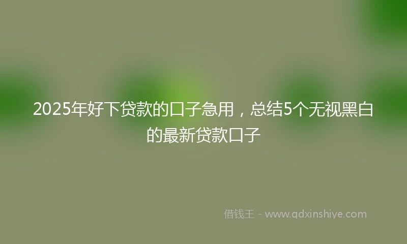 2025年好下贷款的口子急用，总结5个无视黑白的最新贷款口子
