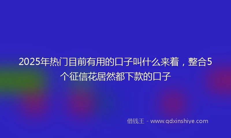 2025年热门目前有用的口子叫什么来着，整合5个征信花居然都下款的口子