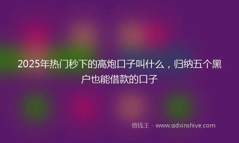 2025年热门秒下的高炮口子叫什么，归纳五个黑户也能借款的口子