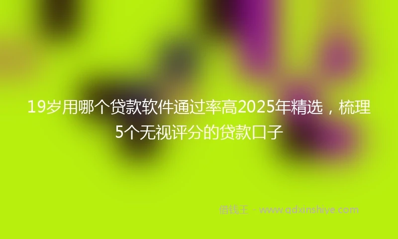19岁用哪个贷款软件通过率高2025年精选，梳理5个无视评分的贷款口子