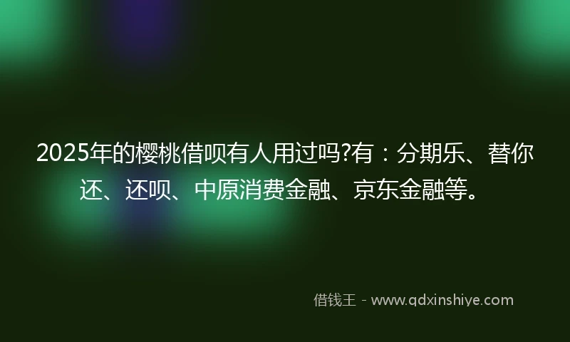 2025年的樱桃借呗有人用过吗?有：分期乐、替你还、还呗、中原消费金融、京东金融等。