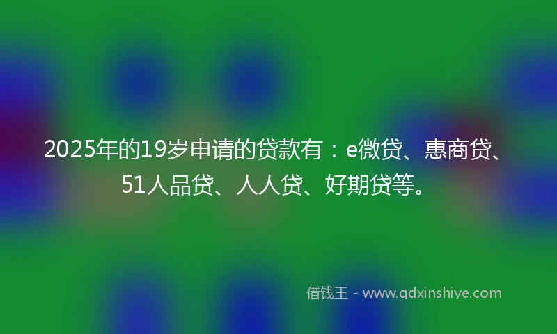 2025年的19岁申请的贷款有：e微贷、惠商贷、51人品贷、人人贷、好期贷等。