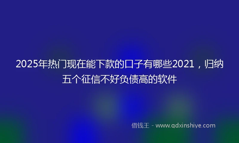 2025年热门现在能下款的口子有哪些2021，归纳五个征信不好负债高的软件