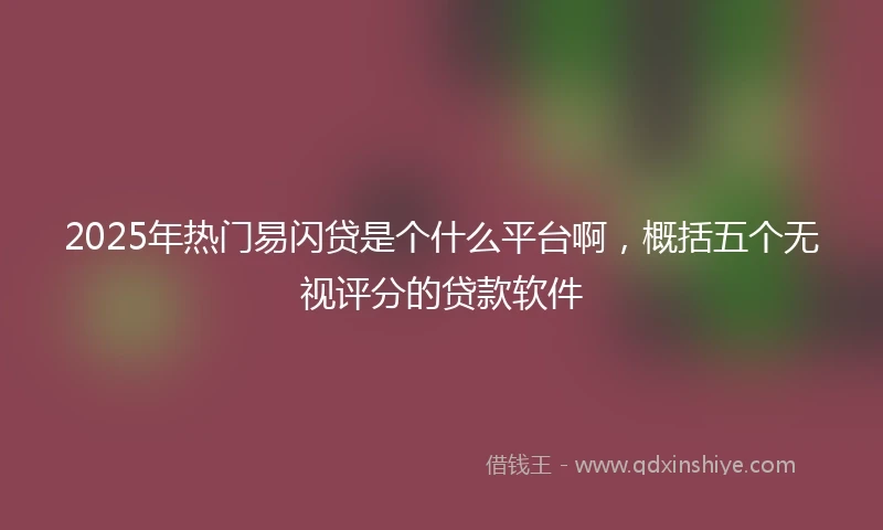 2025年热门易闪贷是个什么平台啊，概括五个无视评分的贷款软件