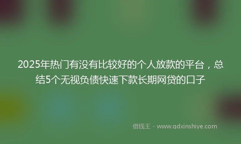2025年热门有没有比较好的个人放款的平台，总结5个无视负债快速下款长期网贷的口子