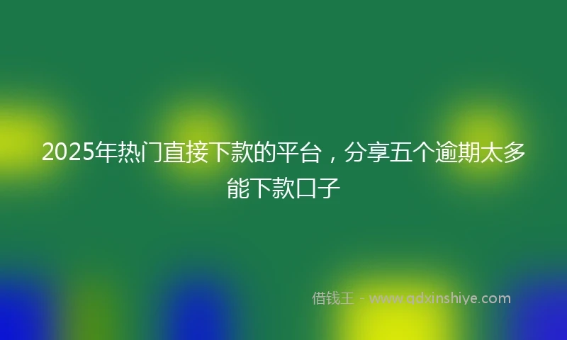 2025年热门直接下款的平台，分享五个逾期太多能下款口子