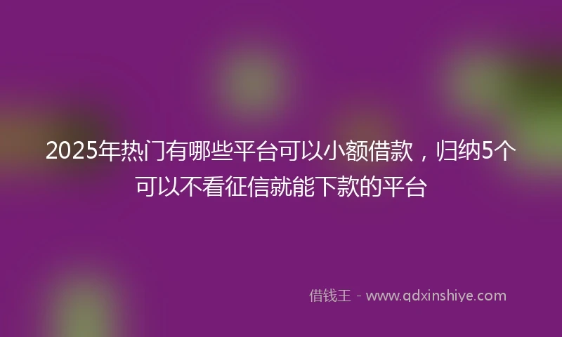 2025年热门有哪些平台可以小额借款，归纳5个可以不看征信就能下款的平台