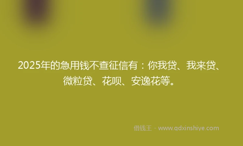 2025年的急用钱不查征信有：你我贷、我来贷、微粒贷、花呗、安逸花等。