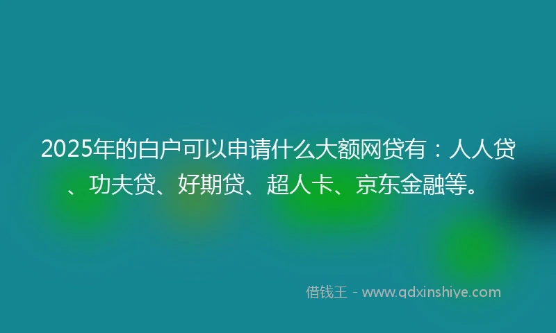 2025年的白户可以申请什么大额网贷有：人人贷、功夫贷、好期贷、超人卡、京东金融等。