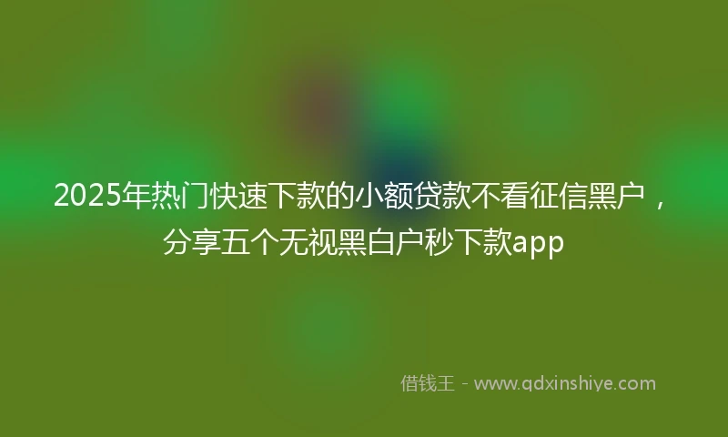 2025年热门快速下款的小额贷款不看征信黑户，分享五个无视黑白户秒下款app