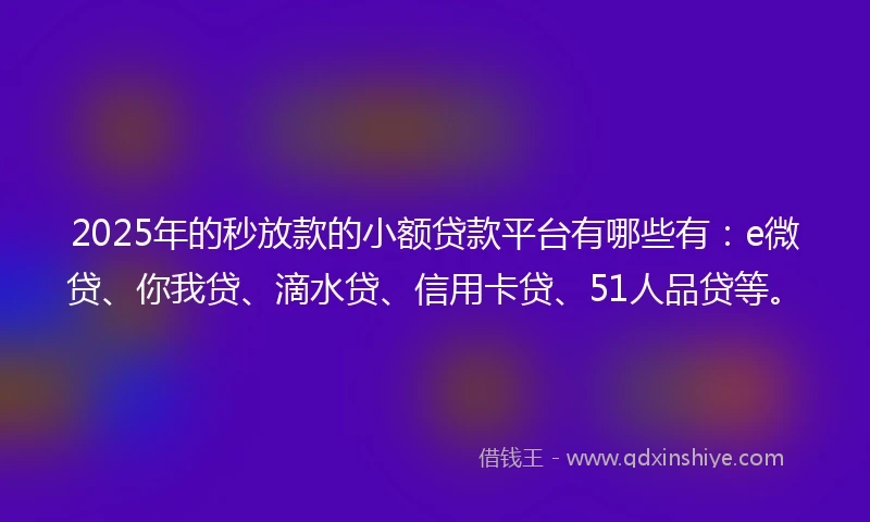 2025年的秒放款的小额贷款平台有哪些有：e微贷、你我贷、滴水贷、信用卡贷、51人品贷等。
