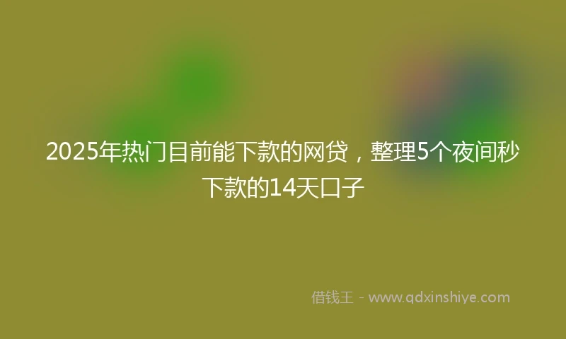 2025年热门目前能下款的网贷，整理5个夜间秒下款的14天口子