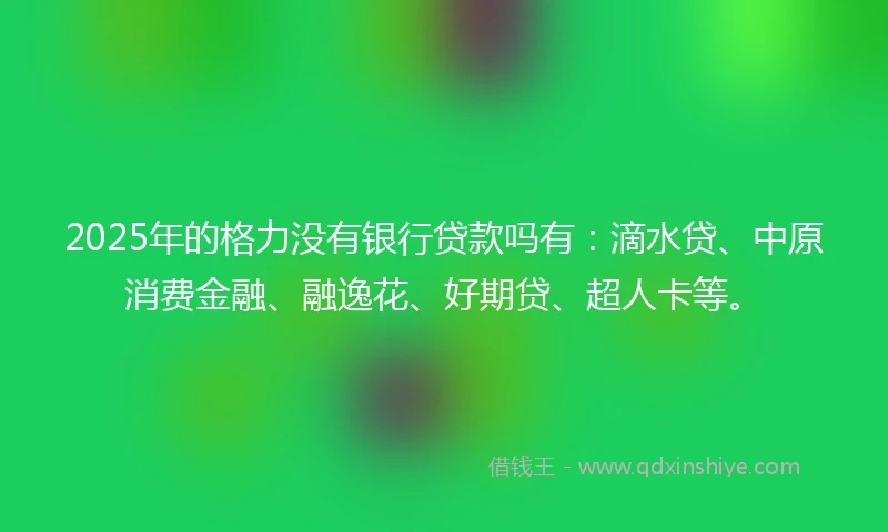 2025年的格力没有银行贷款吗有：滴水贷、中原消费金融、融逸花、好期贷、超人卡等。