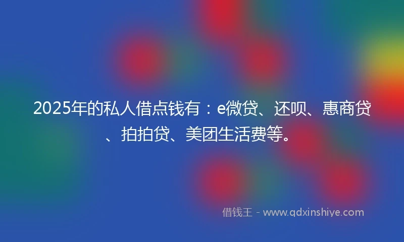2025年的私人借点钱有：e微贷、还呗、惠商贷、拍拍贷、美团生活费等。