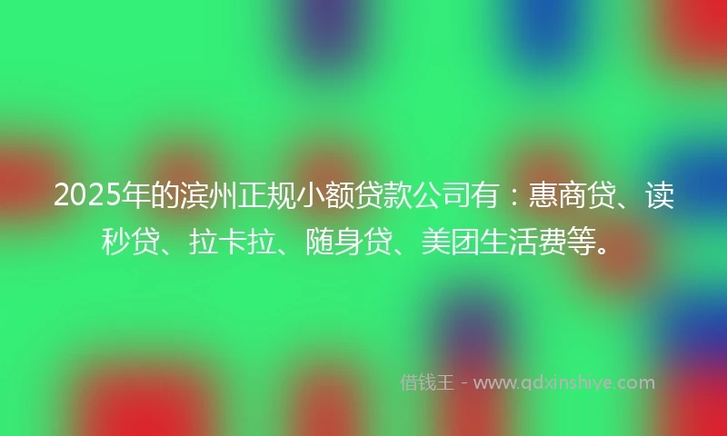 2025年的滨州正规小额贷款公司有：惠商贷、读秒贷、拉卡拉、随身贷、美团生活费等。