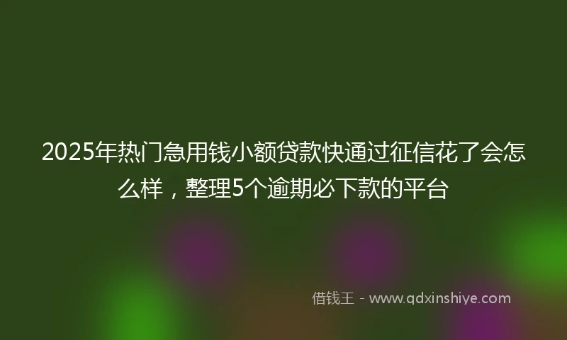 2025年热门急用钱小额贷款快通过征信花了会怎么样，整理5个逾期必下款的平台