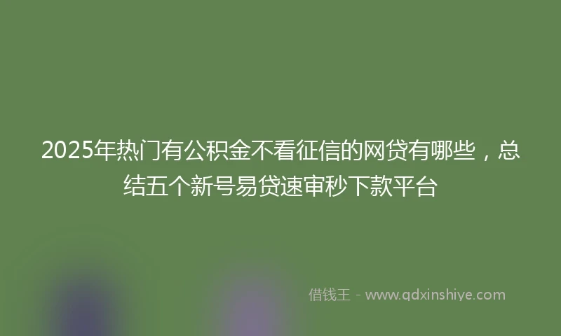 2025年热门有公积金不看征信的网贷有哪些，总结五个新号易贷速审秒下款平台