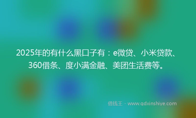 2025年的有什么黑口子有：e微贷、小米贷款、360借条、度小满金融、美团生活费等。