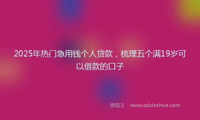 2025年热门急用钱个人贷款，梳理五个满19岁可以借款的口子