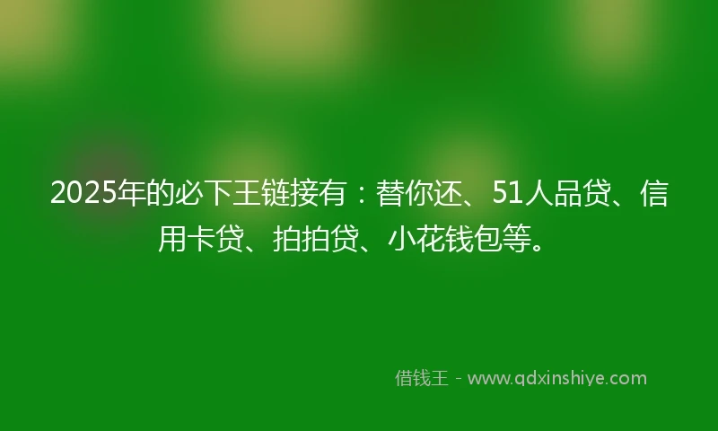 2025年的必下王链接有：替你还、51人品贷、信用卡贷、拍拍贷、小花钱包等。