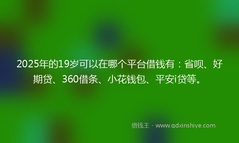 2025年的19岁可以在哪个平台借钱有：省呗、好期贷、360借条、小花钱包、平安i贷等。