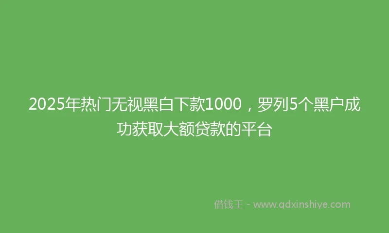 2025年热门无视黑白下款1000，罗列5个黑户成功获取大额贷款的平台