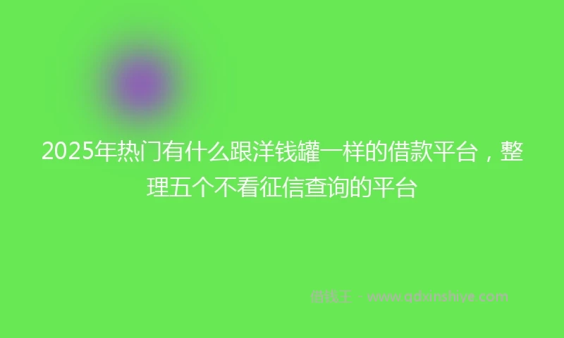 2025年热门有什么跟洋钱罐一样的借款平台，整理五个不看征信查询的平台