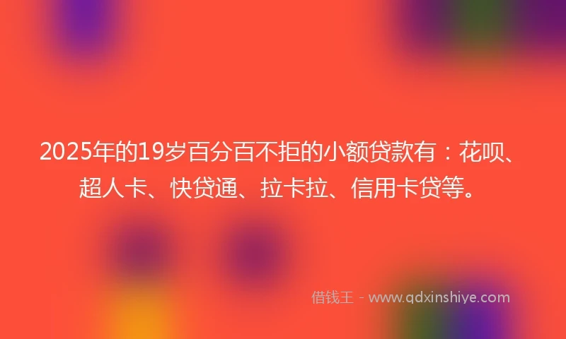2025年的19岁百分百不拒的小额贷款有：花呗、超人卡、快贷通、拉卡拉、信用卡贷等。