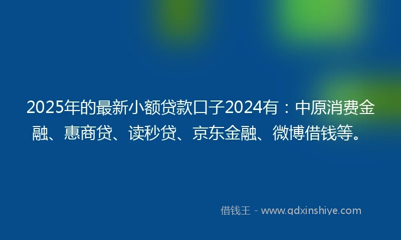 2025年的最新小额贷款口子2024有：中原消费金融、惠商贷、读秒贷、京东金融、微博借钱等。