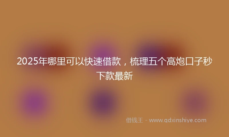 2025年哪里可以快速借款，梳理五个高炮口子秒下款最新