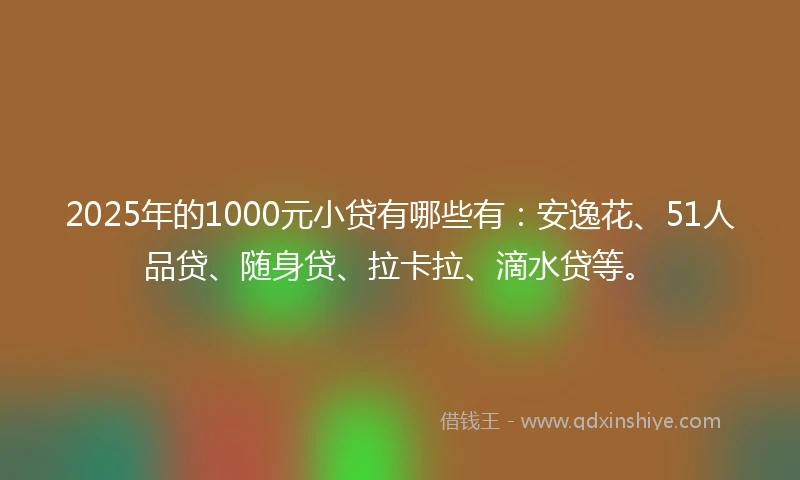 2025年的1000元小贷有哪些有：安逸花、51人品贷、随身贷、拉卡拉、滴水贷等。
