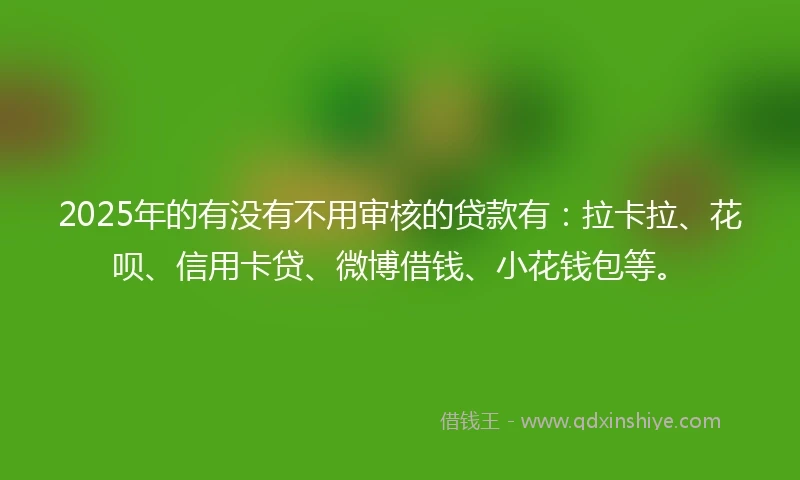 2025年的有没有不用审核的贷款有：拉卡拉、花呗、信用卡贷、微博借钱、小花钱包等。