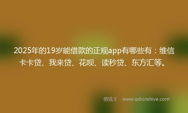 2025年的19岁能借款的正规app有哪些有：维信卡卡贷、我来贷、花呗、读秒贷、东方汇等。