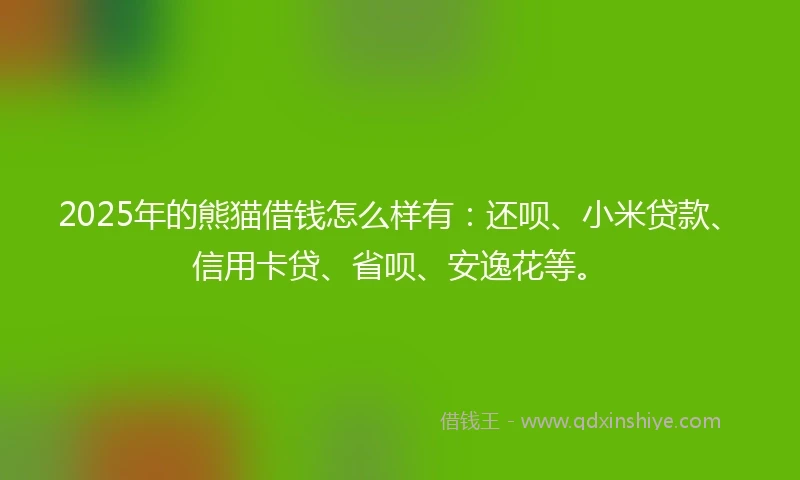 2025年的熊猫借钱怎么样有：还呗、小米贷款、信用卡贷、省呗、安逸花等。
