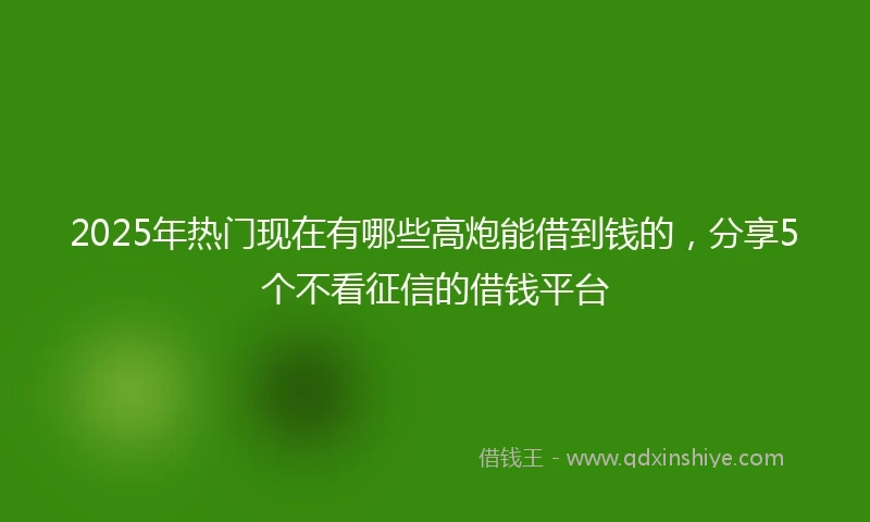 2025年热门现在有哪些高炮能借到钱的，分享5个不看征信的借钱平台