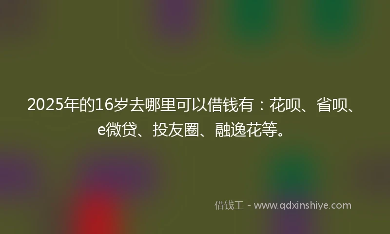 2025年的16岁去哪里可以借钱有：花呗、省呗、e微贷、投友圈、融逸花等。