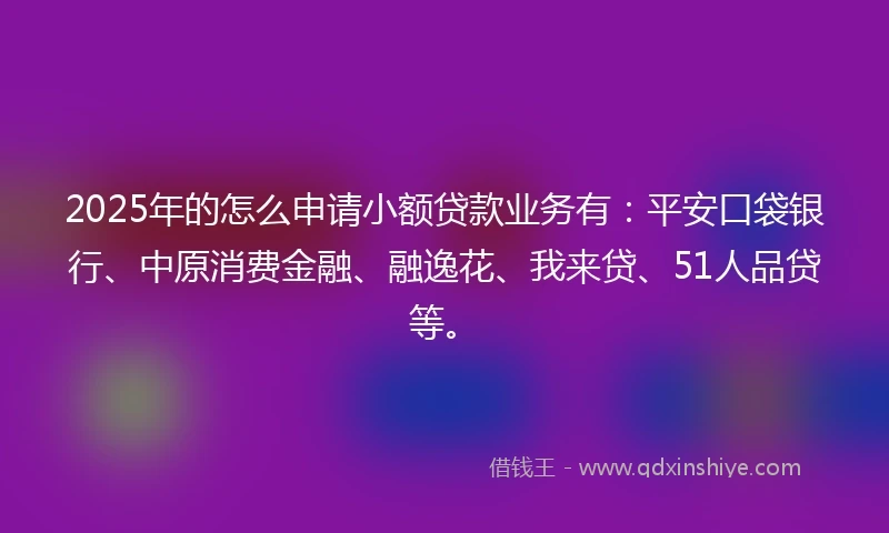 2025年的怎么申请小额贷款业务有：平安口袋银行、中原消费金融、融逸花、我来贷、51人品贷等。